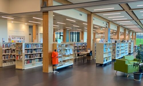 Stationary and mobile shelving units for the West Kelowna library in BC